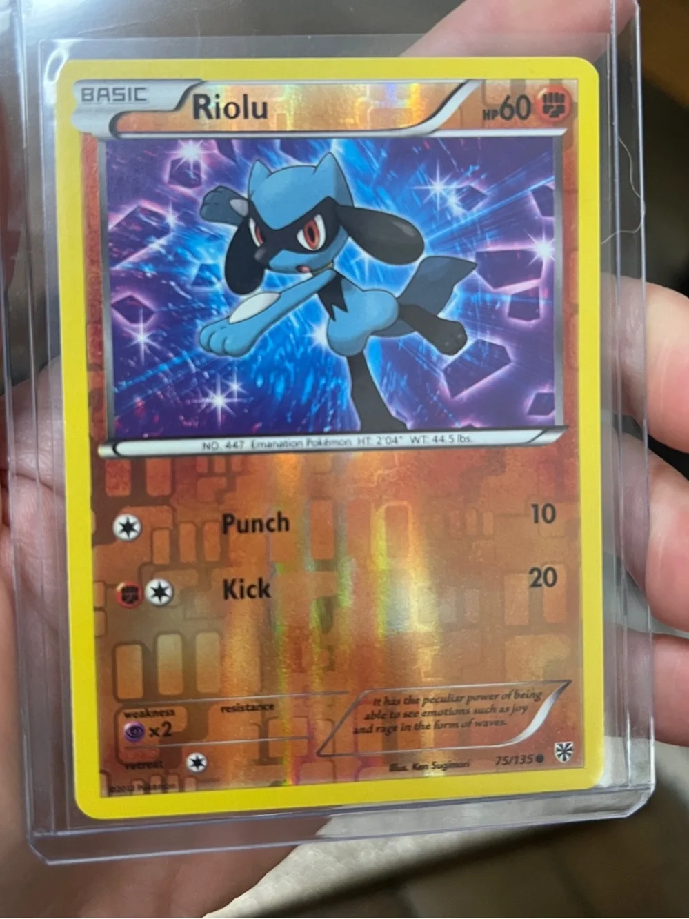 Pokemon Riolu Holo TCG trading card